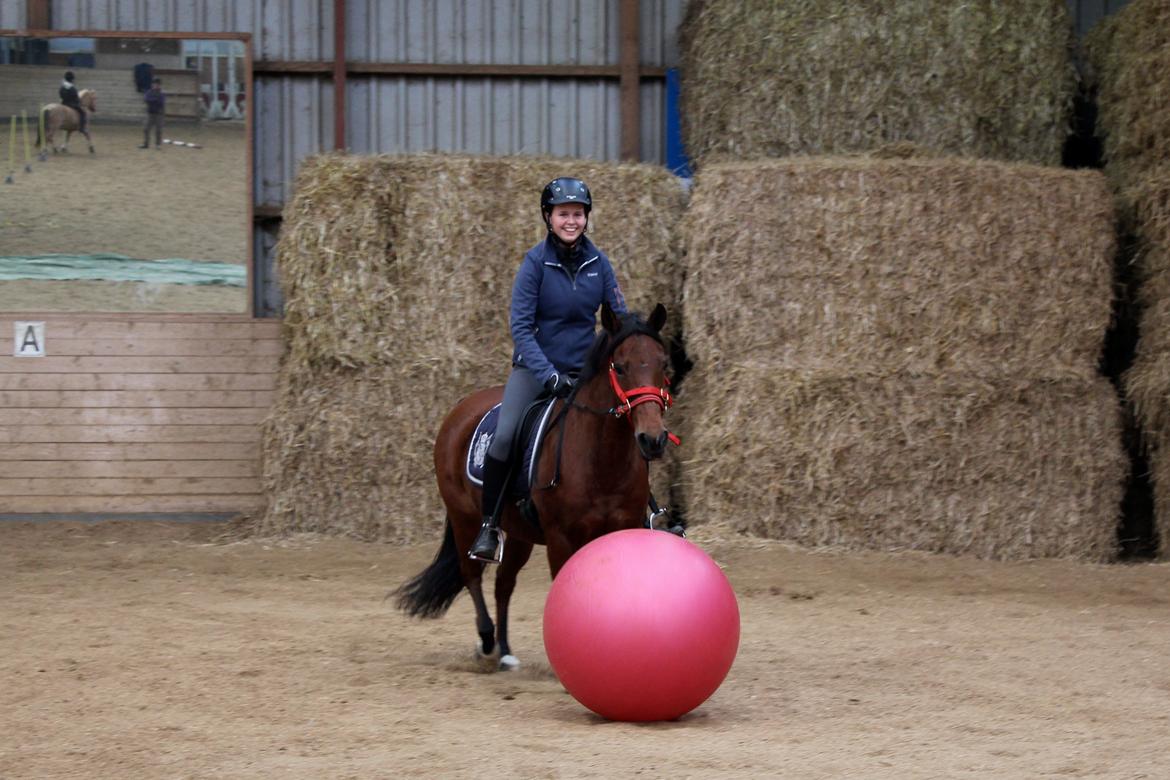 DSP Røgild's Selina B-pony - Yihaaa! Selina eeelsker fodbold! billede 13