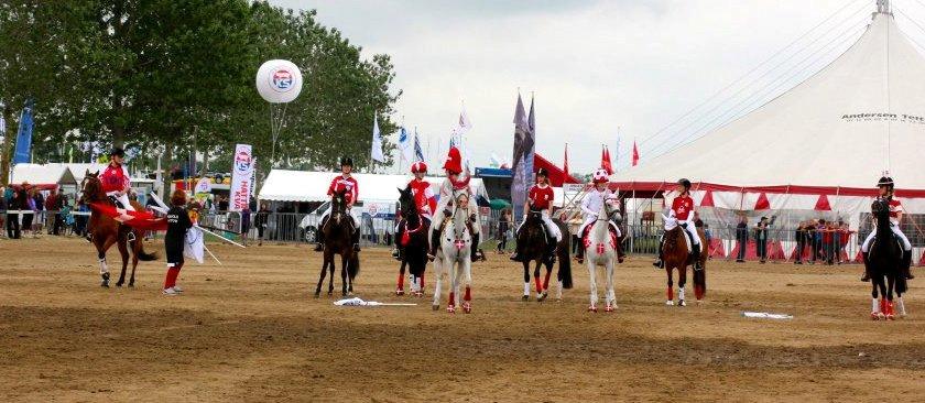 DSP Røgild's Selina B-pony - Indridning for DSP i Herning billede 14