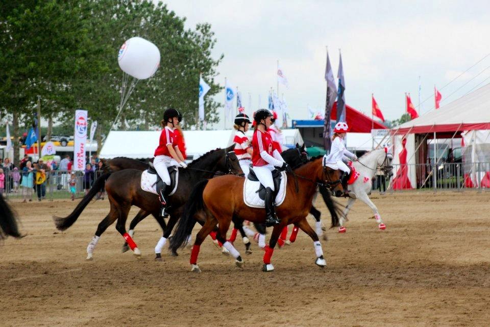 DSP Røgild's Selina B-pony - Team Roligan! billede 15