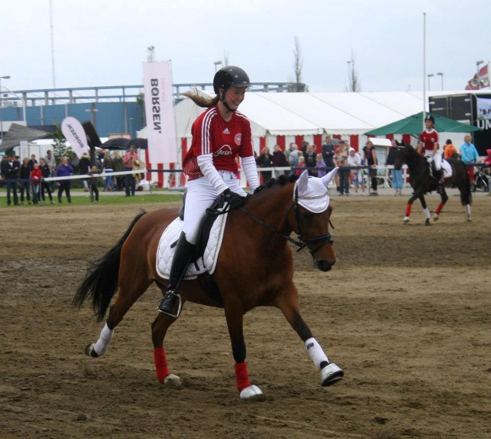 DSP Røgild's Selina B-pony - En roligan i fuld fart! billede 16