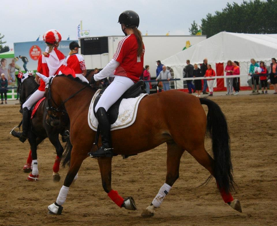 DSP Røgild's Selina B-pony billede 18