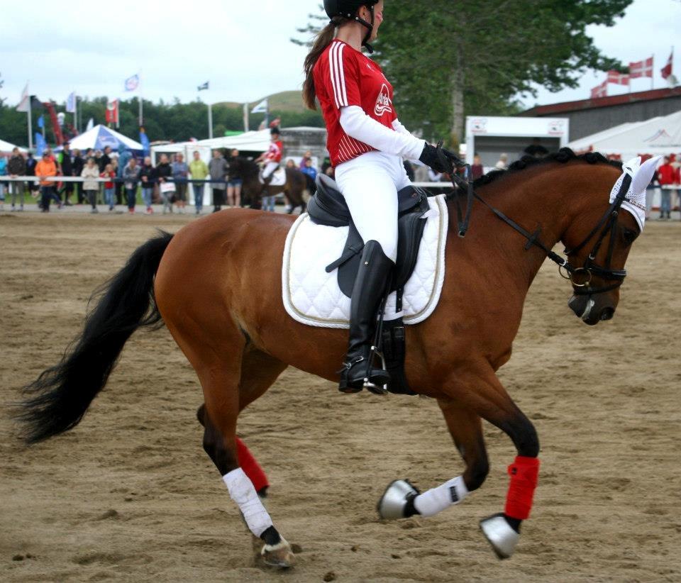 DSP Røgild's Selina B-pony billede 19