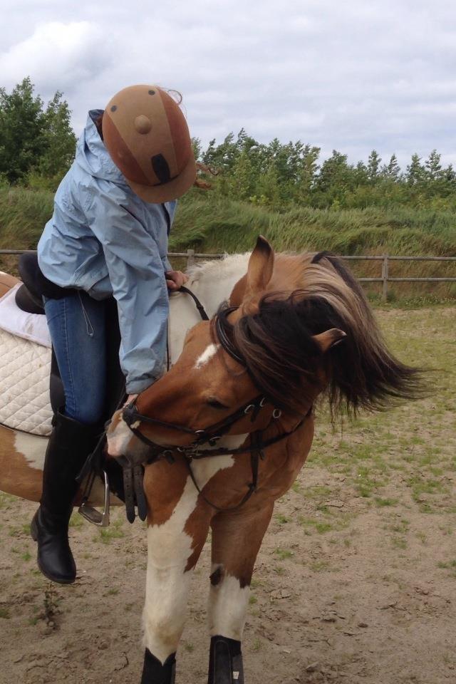 Anden særlig race Mica billede 7