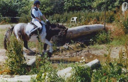 Pinto Solvej †   billede 15