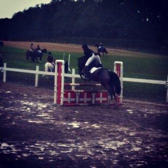 Fransk Sportspony Manel *Soul Mate* billede 16