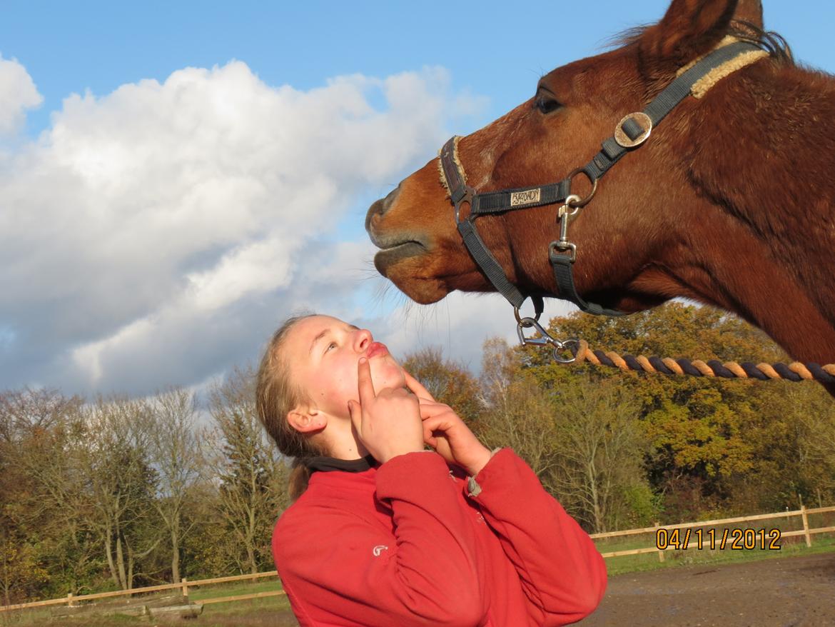 Anden særlig race Dinar - Haha hvor er du fin lille hyp ;) billede 6