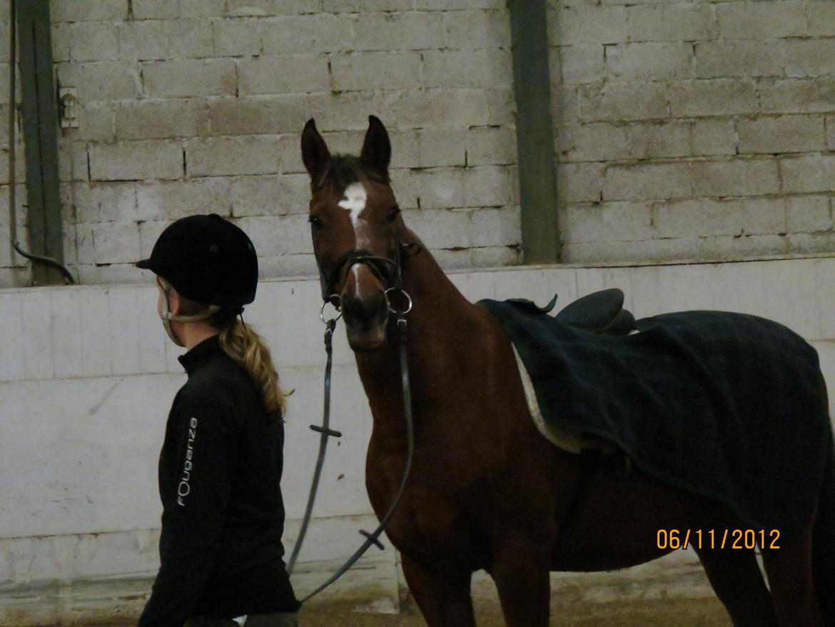 Anden særlig race Dinar - Hov, der var en fotograf!  billede 9