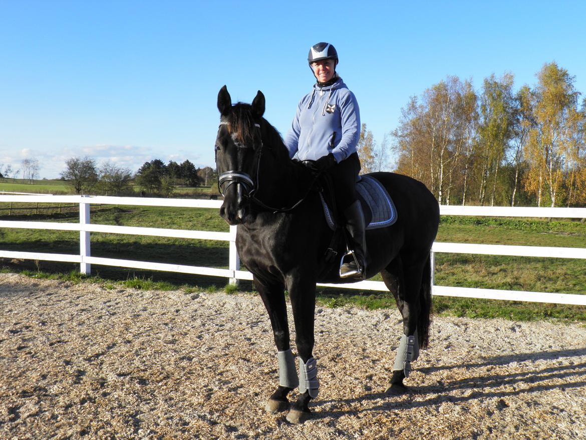 Dansk Varmblod De Luxe R billede 7