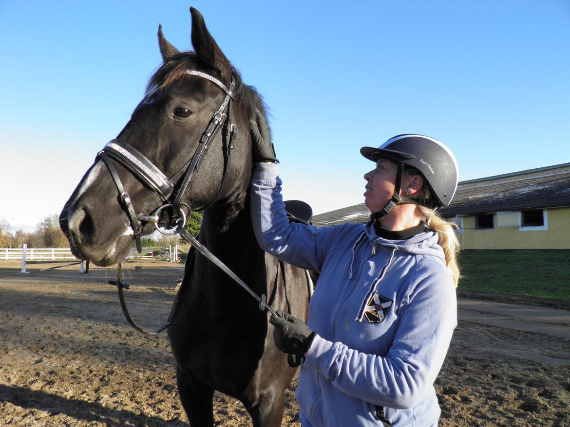 Dansk Varmblod De Luxe R billede 8