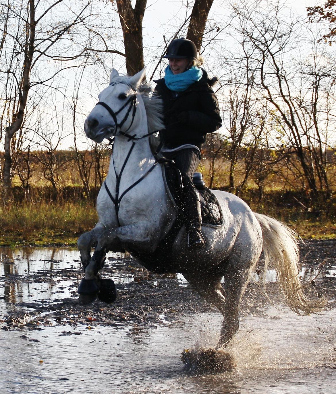 Connemara Mona - Foto: Maja Jo billede 13