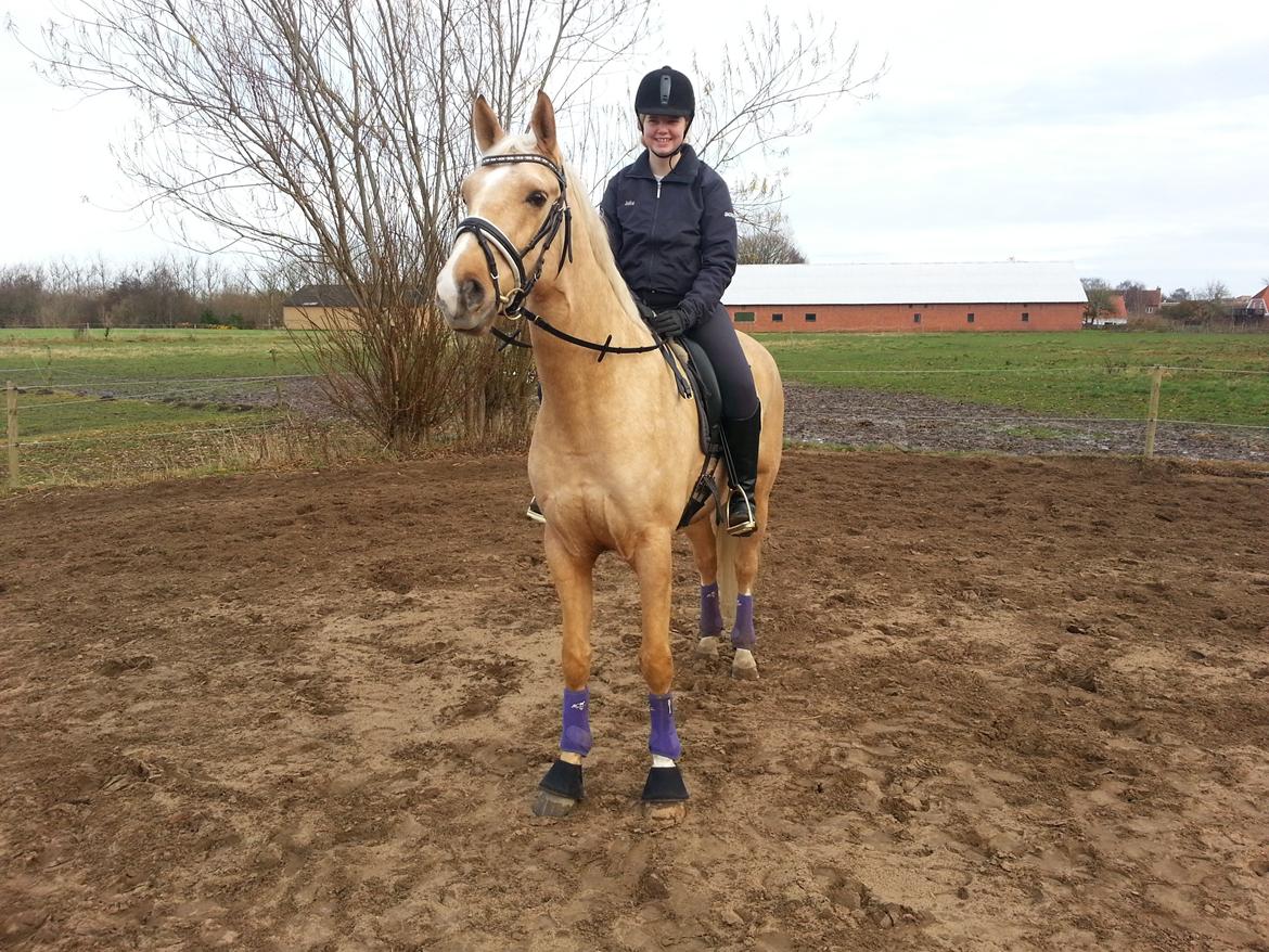 Palomino Heimdals amazing miracle - da jeg lige var kommet op på ham:D
 billede 2