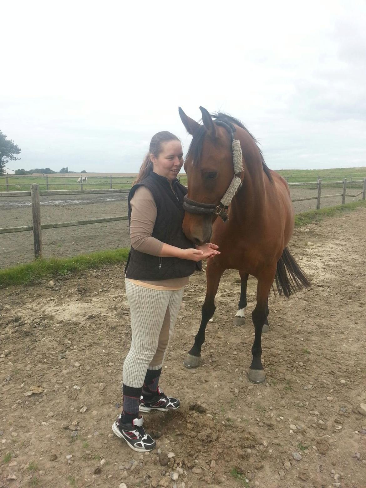 Anden særlig race *L*A*I*K*A* - mig og laika det nye sted billede 6