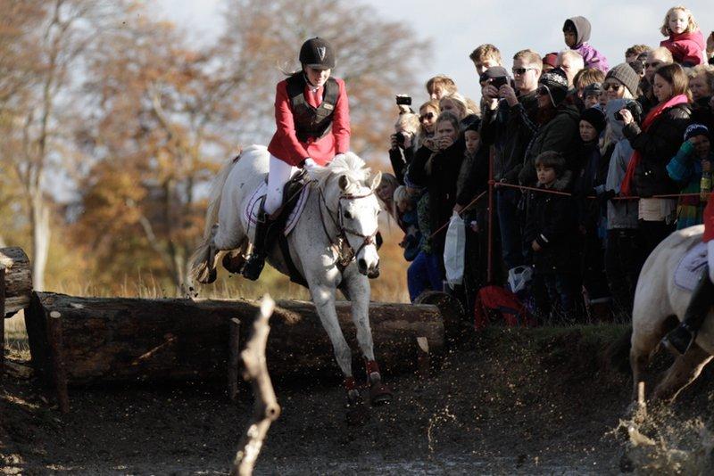 DSP Præstemarkens Mahogni |Honey| - HUBERTUSJAGT 2012 
Her: på vej i maggasindammen! ;D Super fed og FULDFØRT jagt :D  billede 24