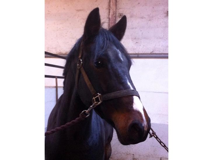 {{currentPhoto.altText}} billede {{currentPhoto.number}}