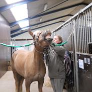 Anden særlig race Smilla(solgt)