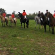 Oldenborg Shevi Desir