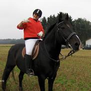 Oldenborg Shevi Desir