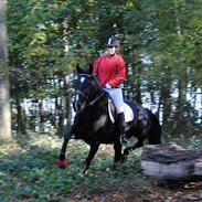 Oldenborg Shevi Desir