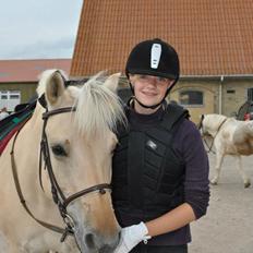 Fjordhest Annabell