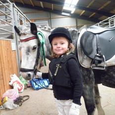 Welsh Mountain (sec A) Sisse. Himmelhest. 