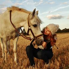 Anden særlig race Zoffi Games Pony <3