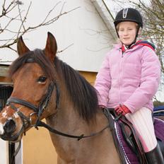 New Forest Debbie <3