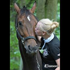 Anden særlig race Merlot R.I.P <3