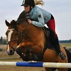 Anden særlig race SCT. Hans Solgt savnet <3