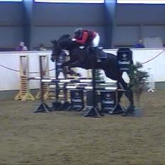 Anden særlig race Wiona