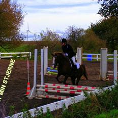 Anden særlig race Rocky