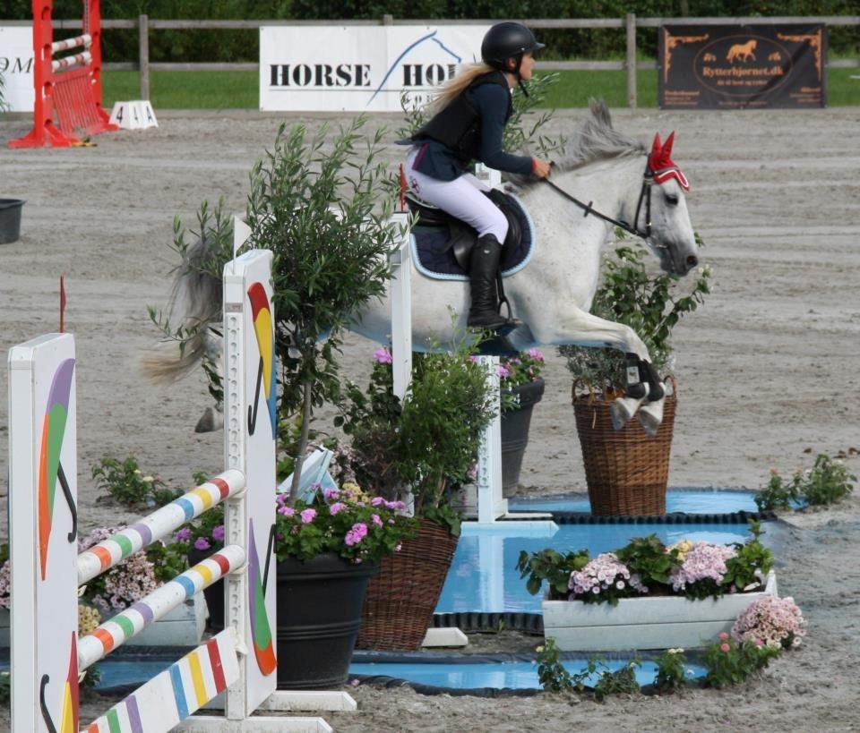 Connemara Miss-Tee *A-pony* - Stort vand til Baltic Cup! billede 9