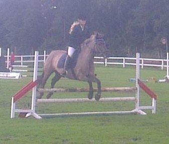 Anden særlig race S.I.R's Bertha billede 6