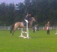 Anden særlig race S.I.R's Bertha billede 17