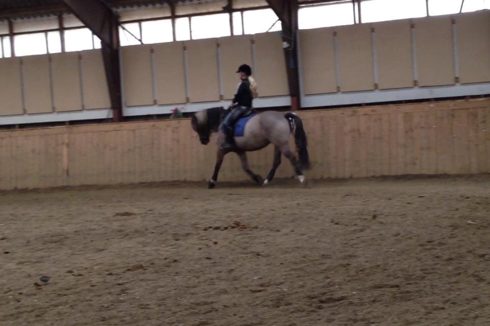 Anden særlig race S.I.R's Bertha billede 9