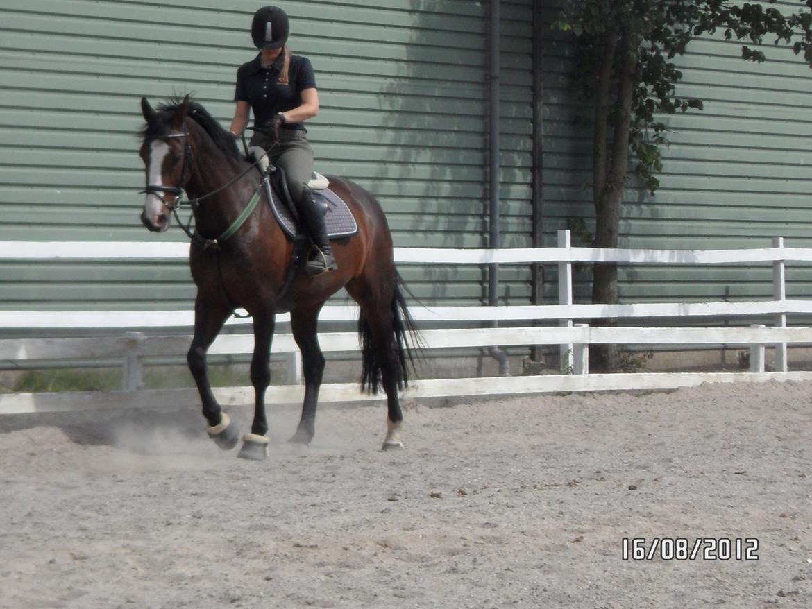 Anden særlig race Sofietje V billede 5