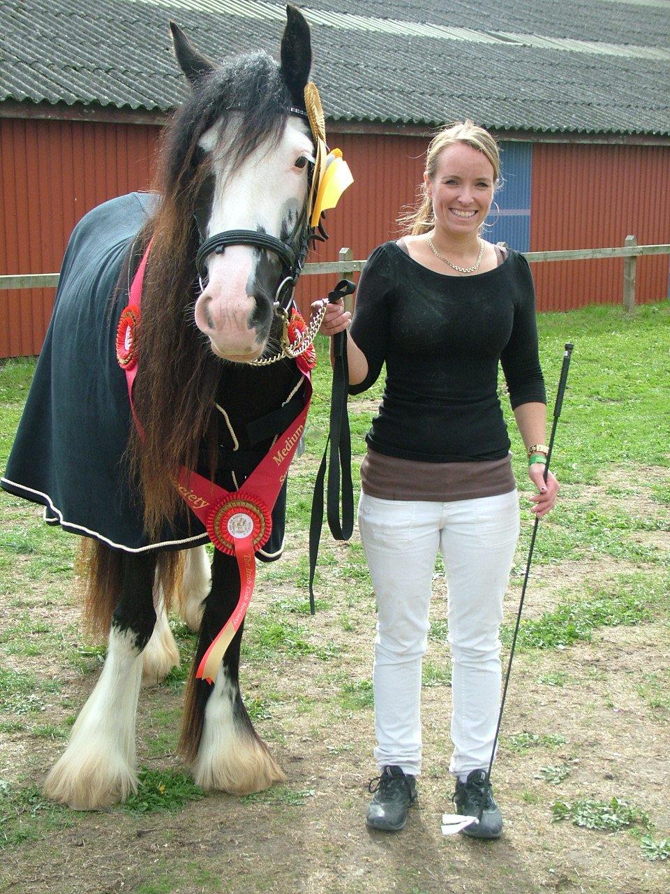 Irish Cob White Horse Purple Rain - St. hestedag 2012 - meget meget stolt ejer med en hest der blev 1.g, klassevinder og supreme champion...What a feeling <3 billede 11