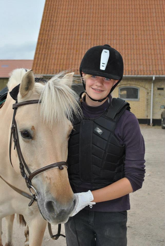 Fjordhest Annabell billede 1