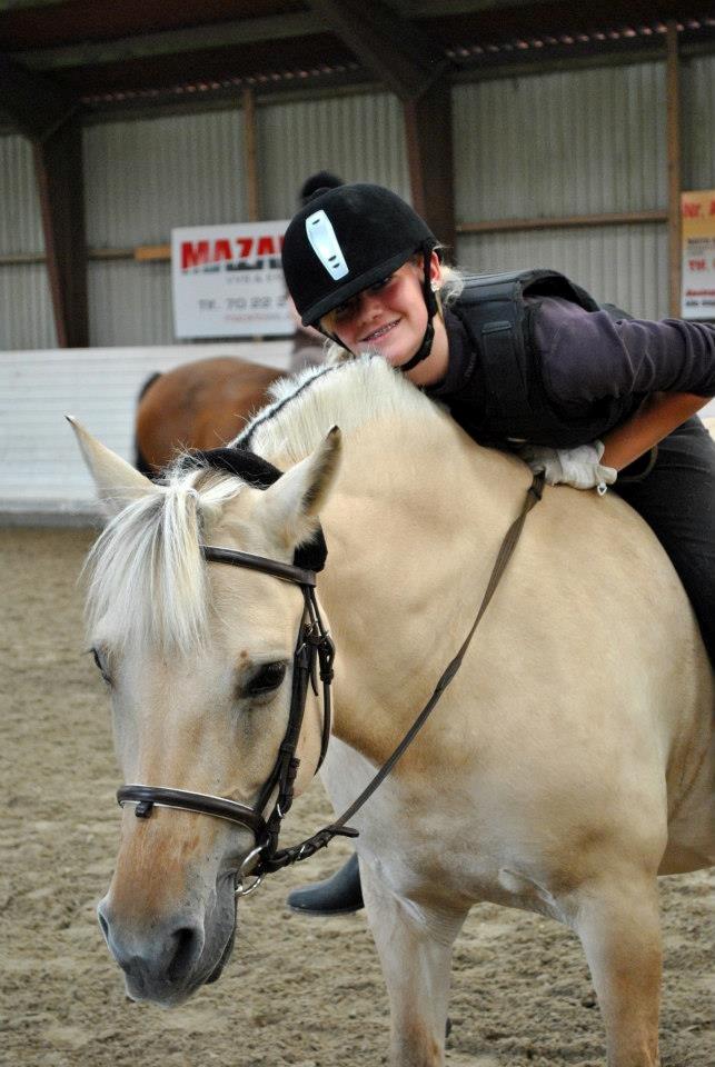 Fjordhest Annabell billede 4