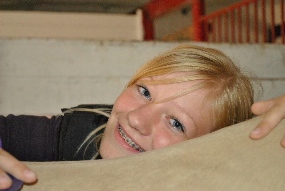 Fjordhest Annabell billede 15