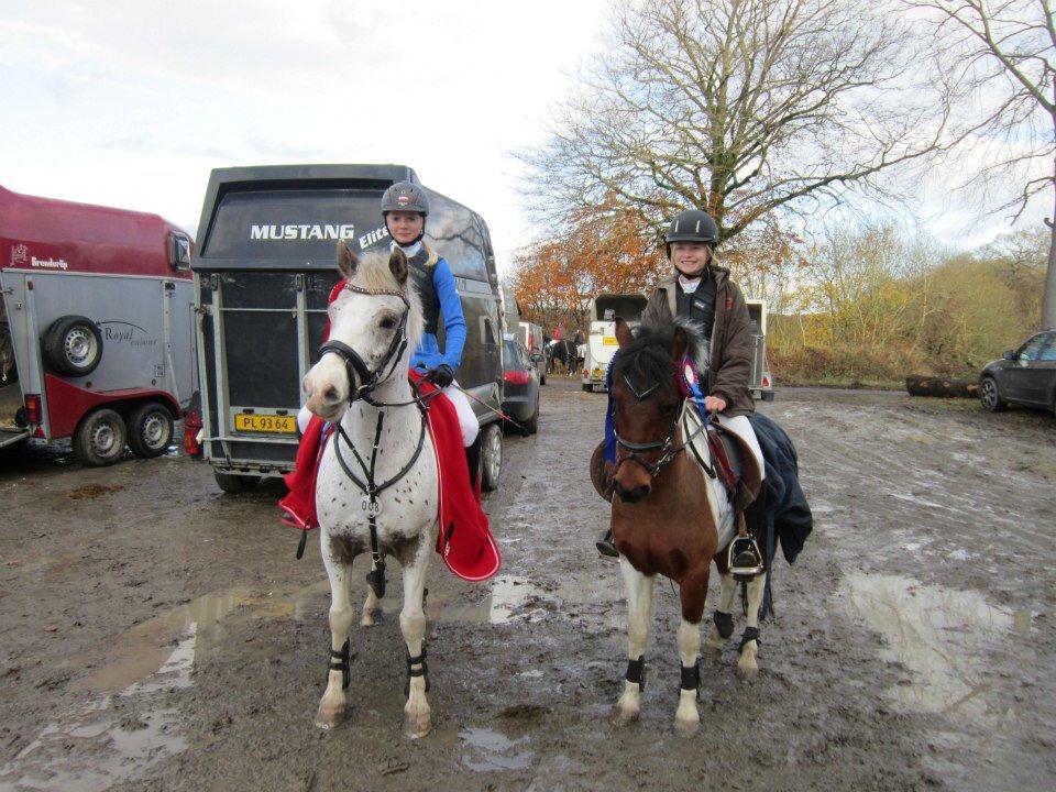 Anden særlig race Jumpy - Sammen med Johanna Gallus og Hot´n Tot - stævne, Mønterhøj Rideklub 2012 billede 6