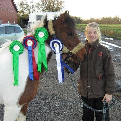 Anden særlig race Jumpy - Endt stævne, Mønterhøj Rideklub 2012 - LB* - 4. plads, LB** - 4. plads, ULA* 0 fejl, LA** - 2. plads. billede 3