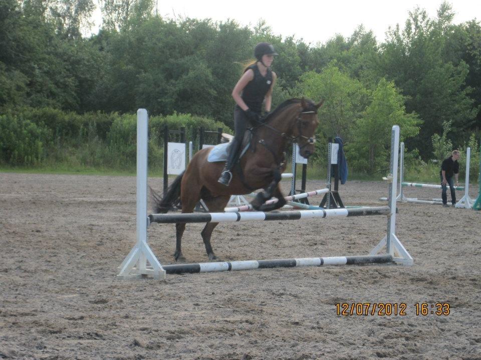 Anden særlig race starlight (R.I.P) <3 - 12/07-12

starlight og jeg springer  billede 13