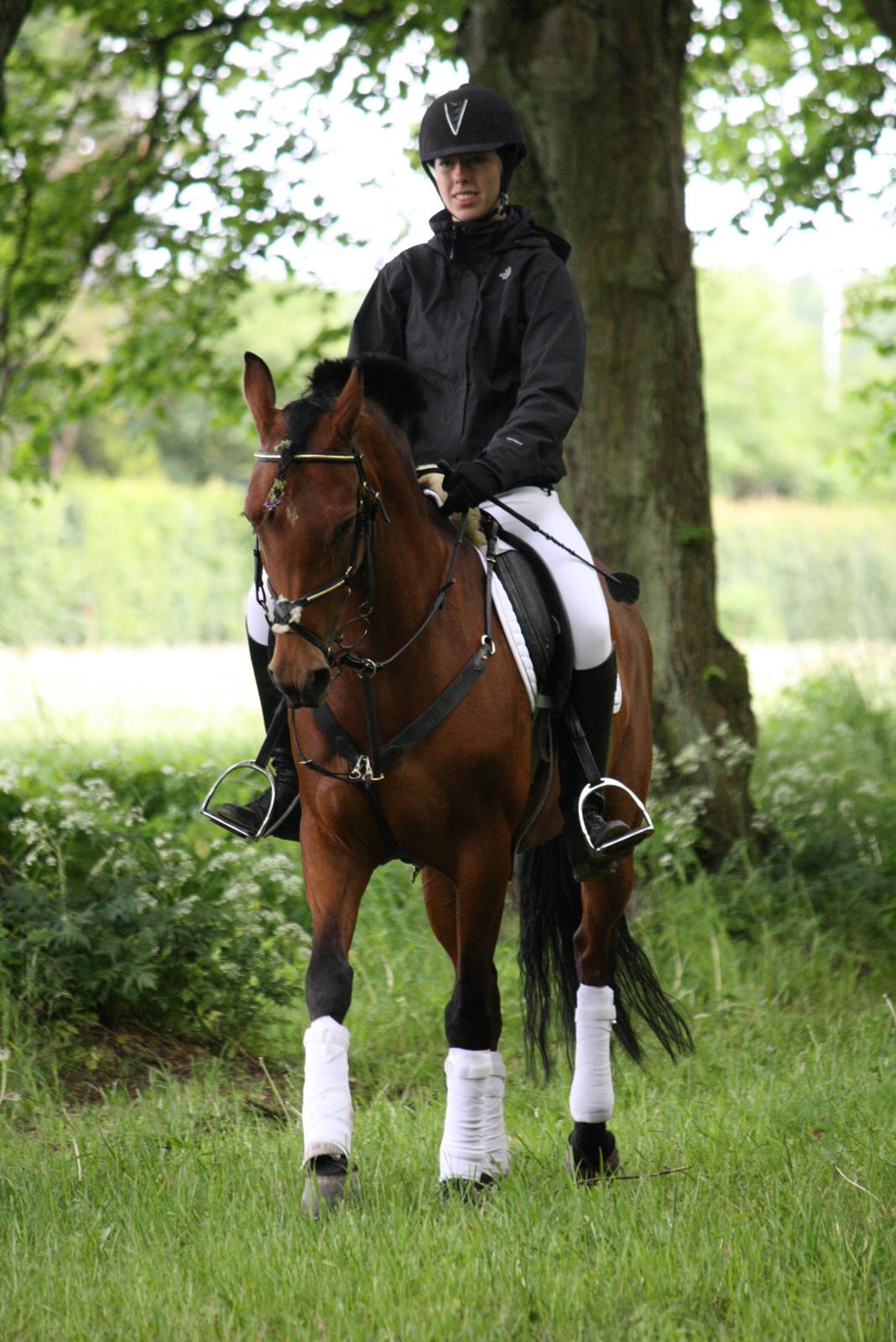 Anden særlig race starlight (R.I.P) <3 - velkommen til Starlight profil tag et kig.
Starlight og jeg på vej til ejerens mor og fars bryllup 

02/06-12 billede 4