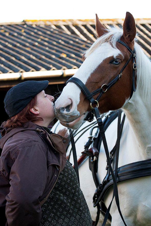 Pinto Blue Eyed Apache billede 14