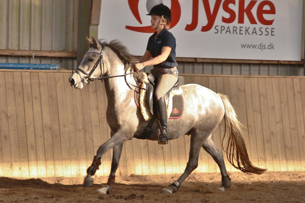 DSP Zulu RIP <3 - Zulu under rytter for 5 gang :)

(galop) billede 14