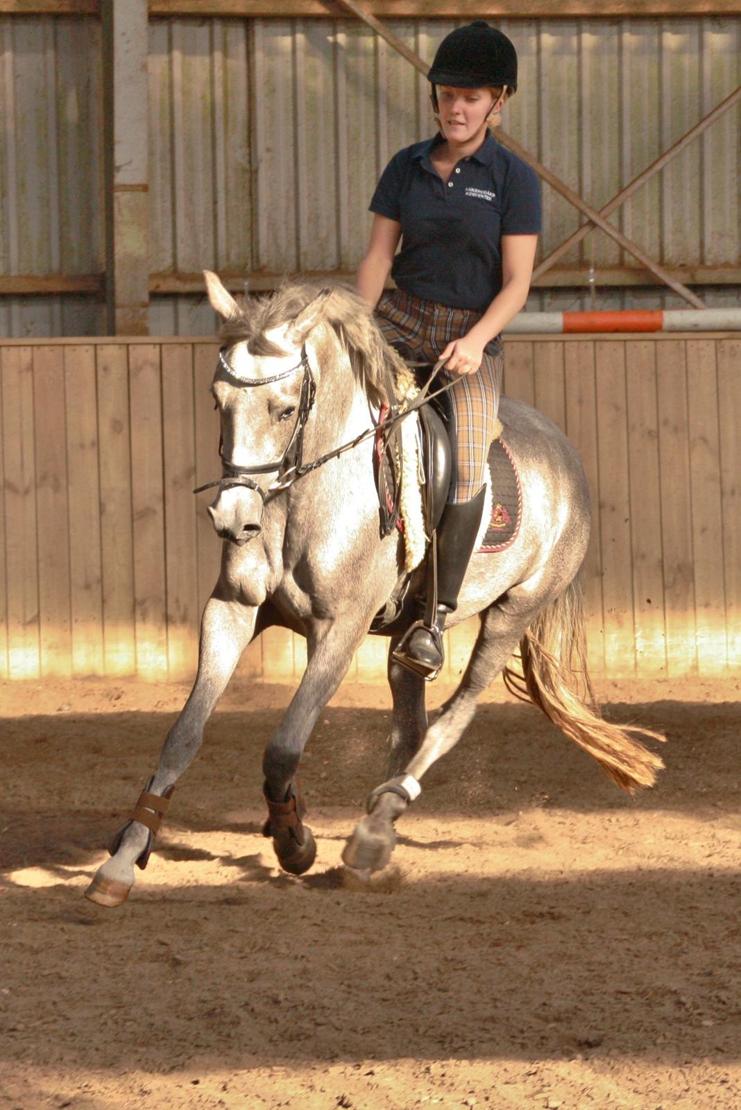 DSP Zulu RIP <3 - Zulu under rytter for 5 gang :)
(galop) billede 6