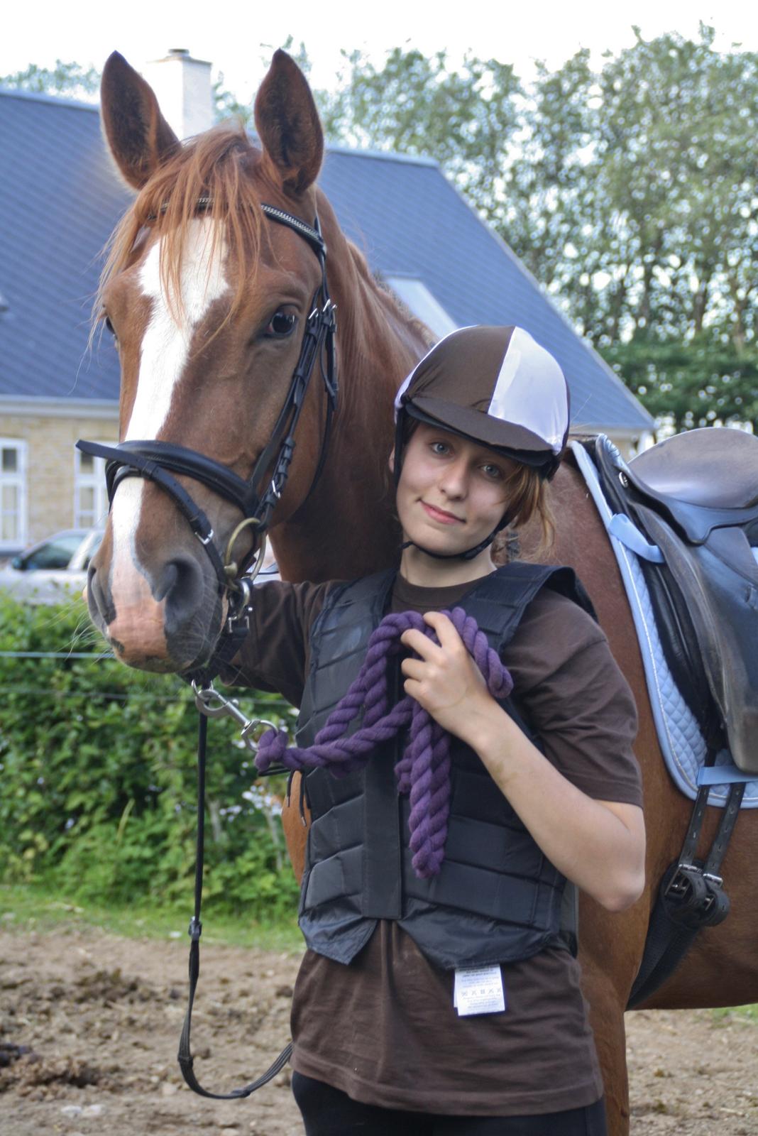 Dansk Varmblod Bucklands Kenai - uhh hvor jeg dov savner dig bassemanden <3 billede 16