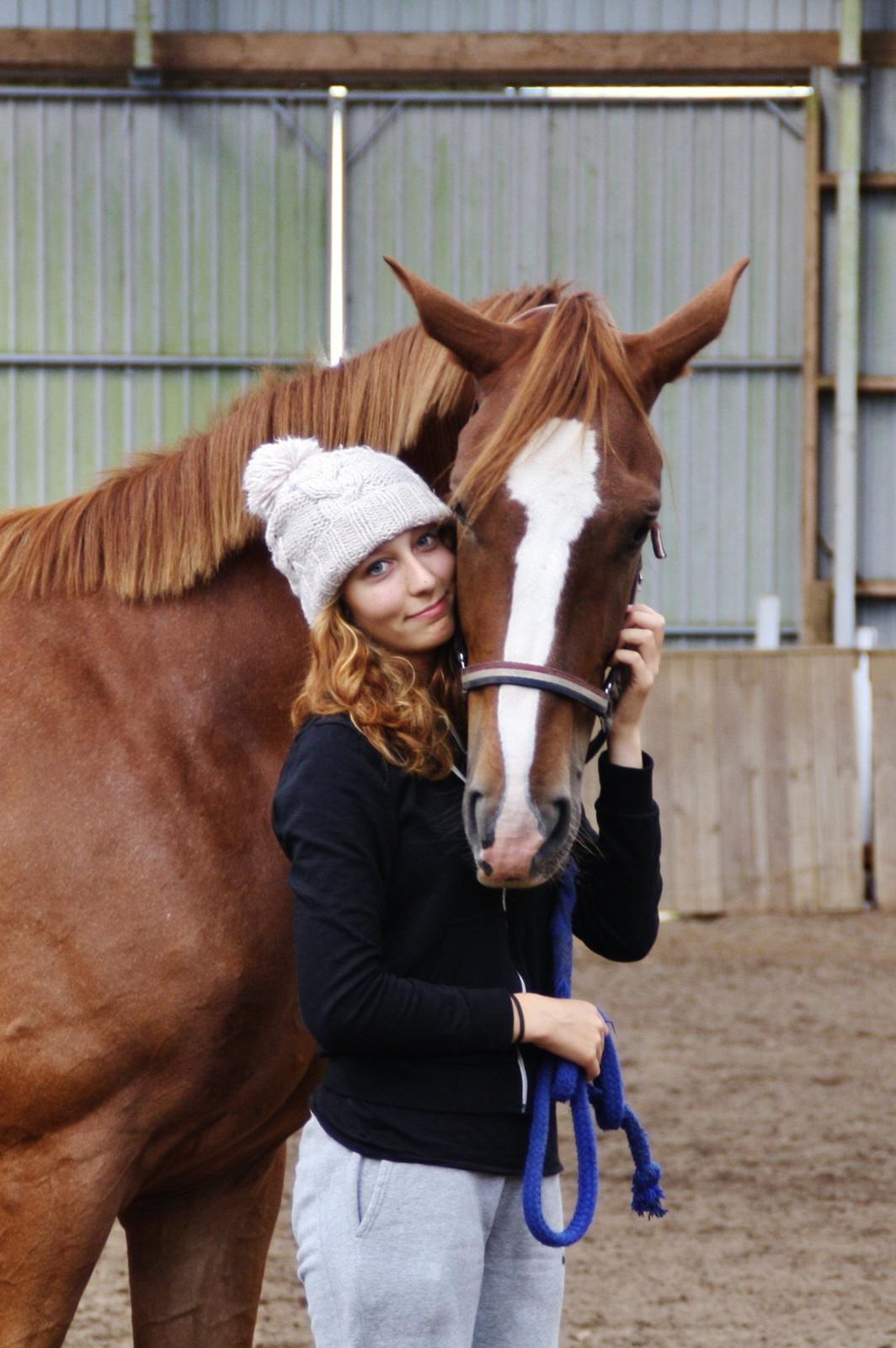 Dansk Varmblod Bucklands Kenai - love and miss you <3 billede 19