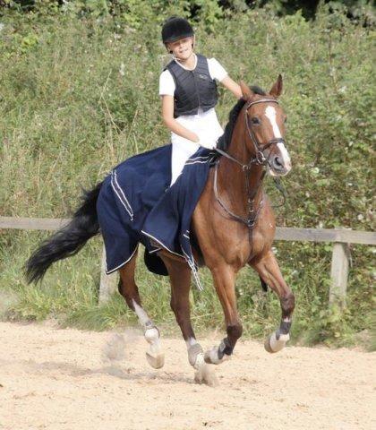 Belgisk varmblod Castelino Van Westleven - Klubmester 2011, vores første stævne! :-) <3 billede 2