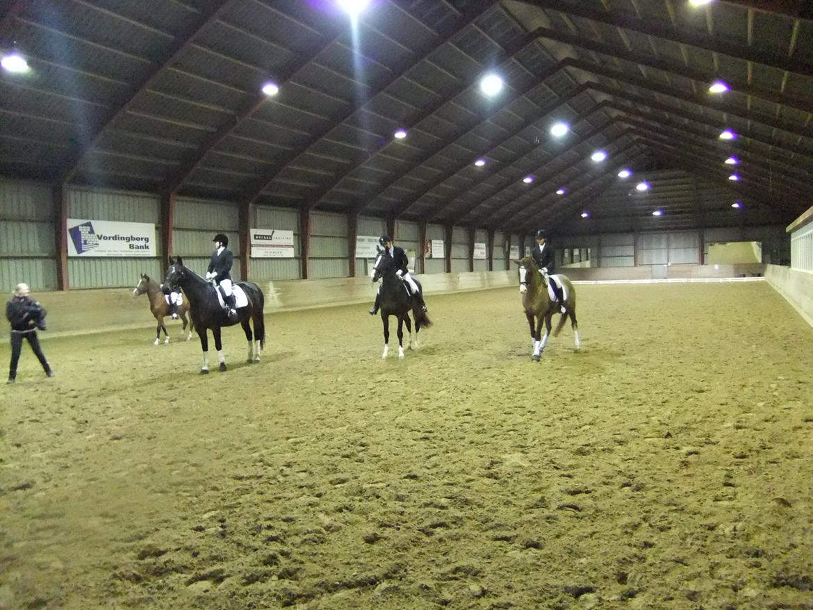 Anden særlig race Shame - Fik en fin delt 3. plads ved NFRK klubmesterskab med 65% i en LA1-a <3
Dygtige hest <3 billede 17